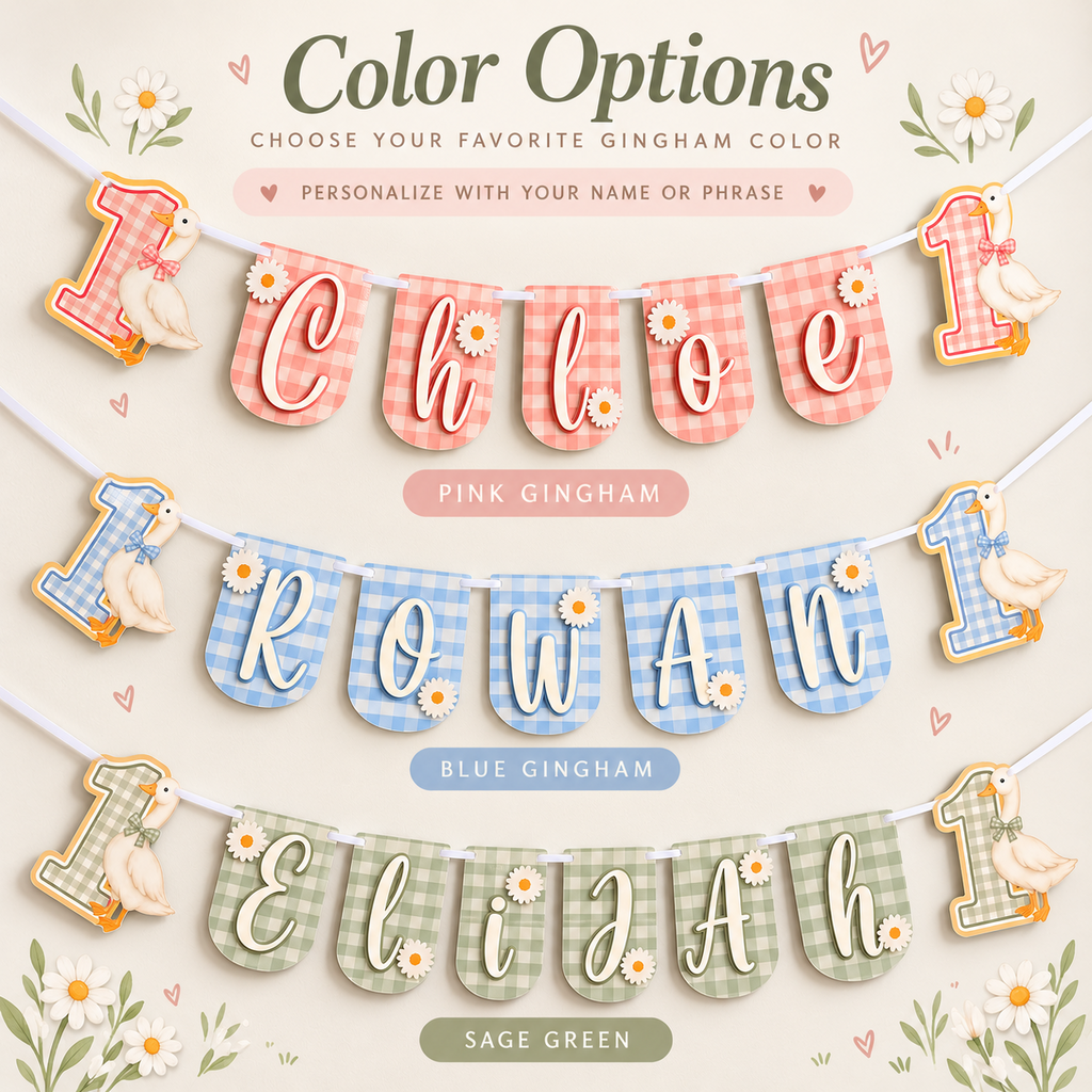 Color options for the personalized One Silly Goose birthday banner shown in pink gingham, blue gingham, and sage green gingham.