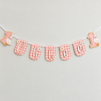 Wide view of the personalized pink gingham One Silly Goose first birthday banner with goose number one end panels and layered name letters.