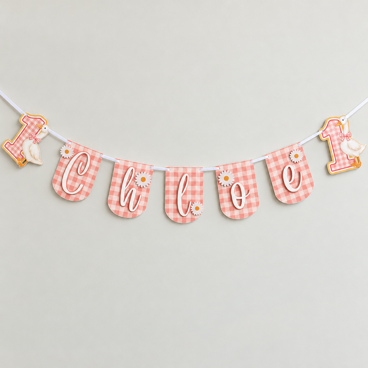 Wide view of the personalized pink gingham One Silly Goose first birthday banner with goose number one end panels and layered name letters.