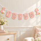 Personalized pink gingham One Silly Goose birthday banner displayed in a soft nursery setting with daisies and matching gingham accents.