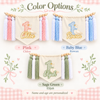 Personalized One Silly Goose first birthday high chair banner shown in pink, baby blue, and sage green with canvas pennant, wooden beads, yarn tassels, custom name and age.